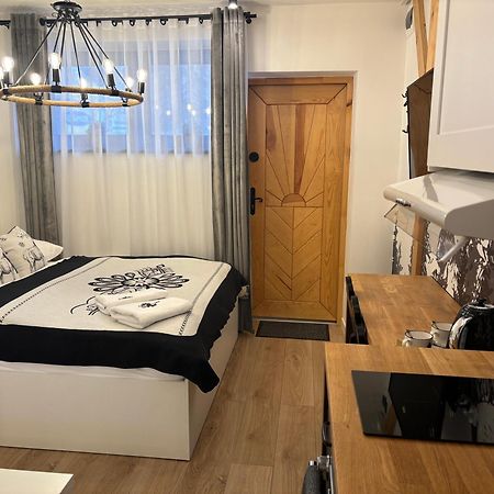 Apartament Small Czarny Potok Krynica-Zdrój Esterno foto